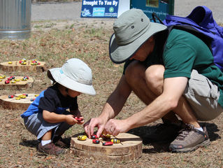 Record Breaking Turn Out at Earth Day