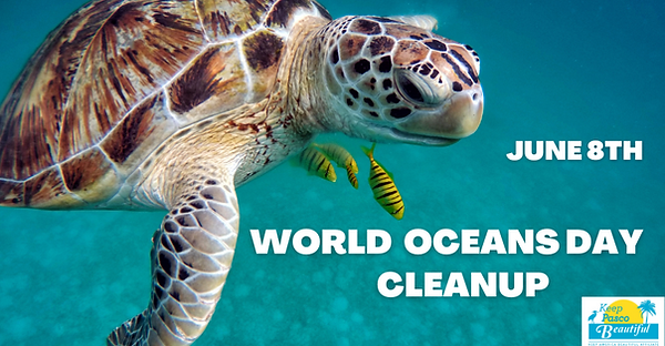 World Turtle Day Save The Turtles by Protecting their Habitats (1200 × 628 px) (2).png