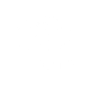 Toyota Logo