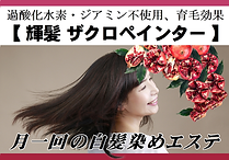 ザクロペインター.png