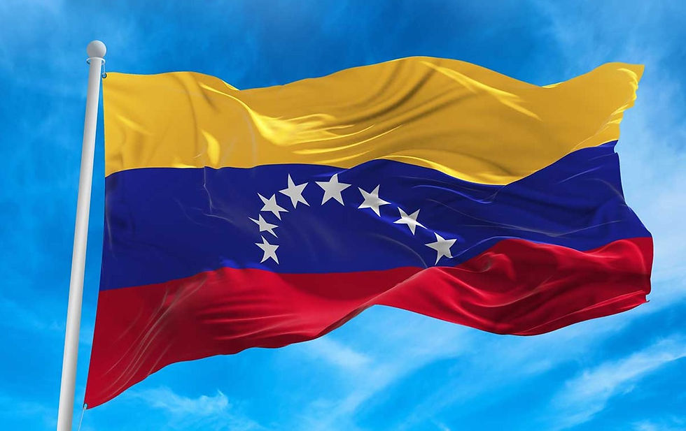 venezuelan flag_edited.jpg