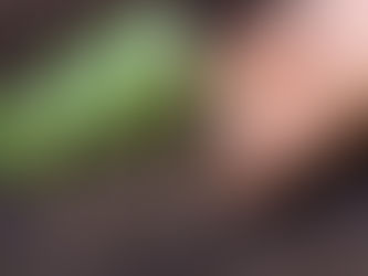 22/01/26 Transition énergétique - coûts - croissance verte - etc...