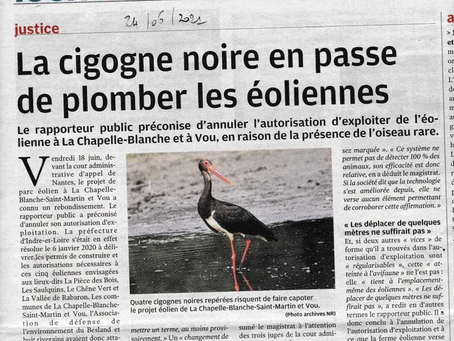 Projet éolien de Vou - La Chapelle Blanche Saint-Martin : bientôt la fin?