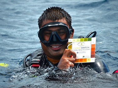 Coral Watch.jpg