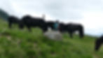 P6180945