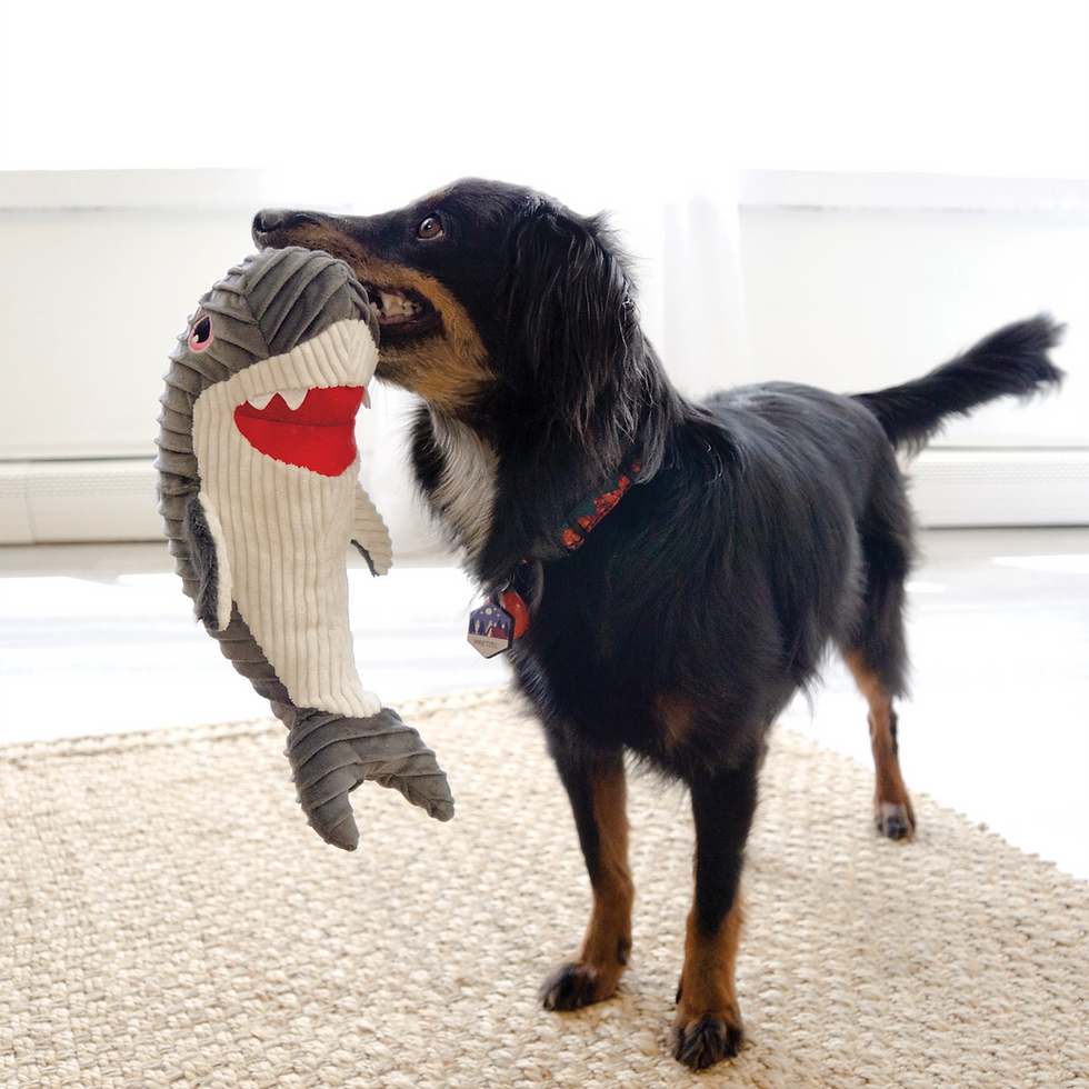 Thumbnail: KONG CUTESEAS RUFFLEZ SHARK