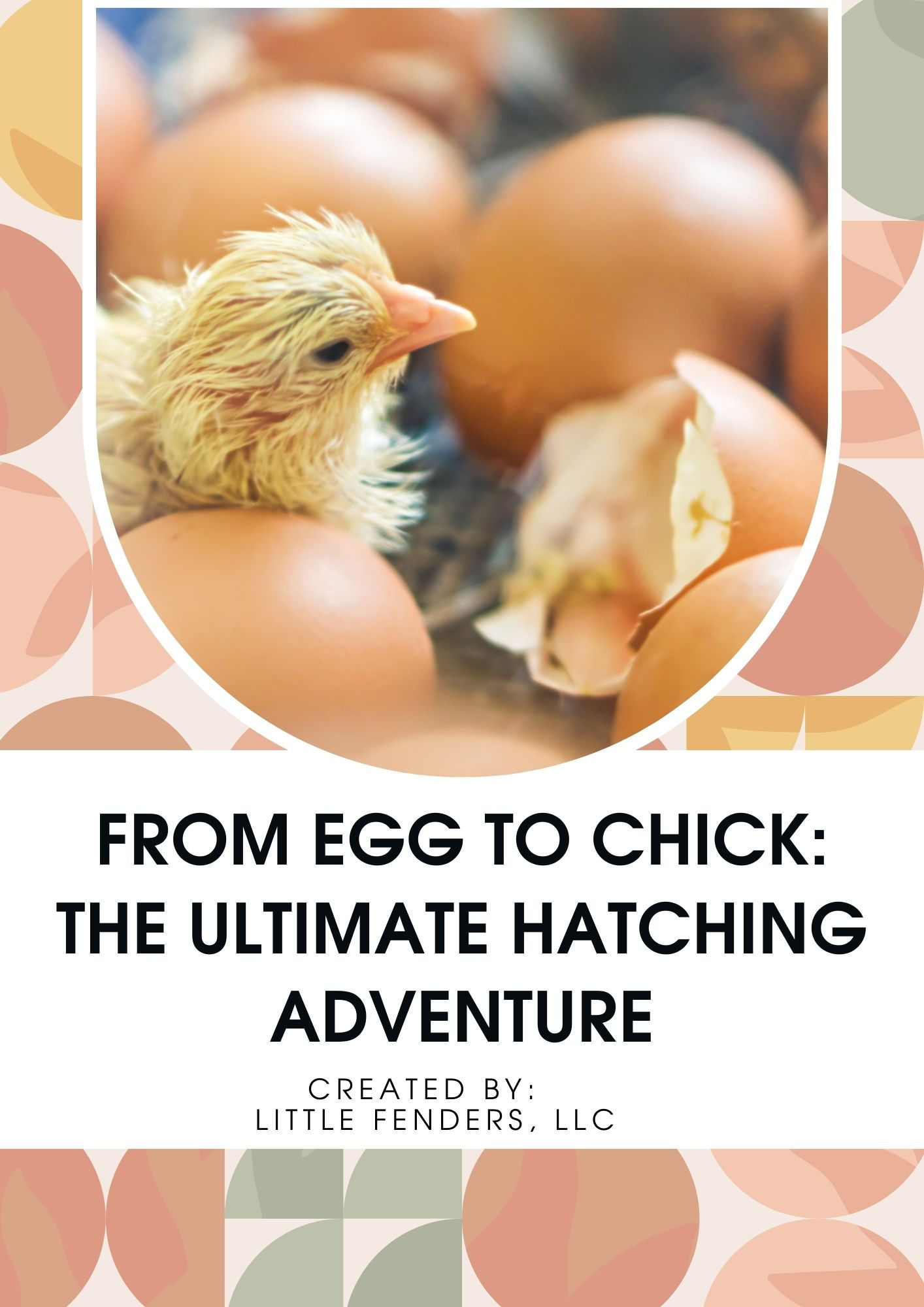 From Egg to Chick: The Ultimate Hatching Adventure