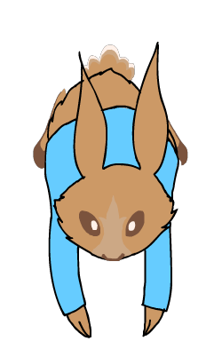 Peter Rabbit Animation