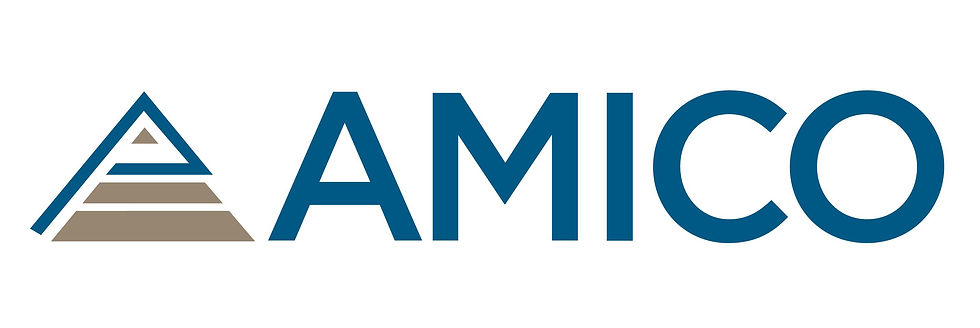 Amico_FINALE - 2.jpg