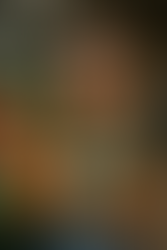 ג׳וס פלאס זה לא רק תזונה, אלא מודל עסקי חדשני