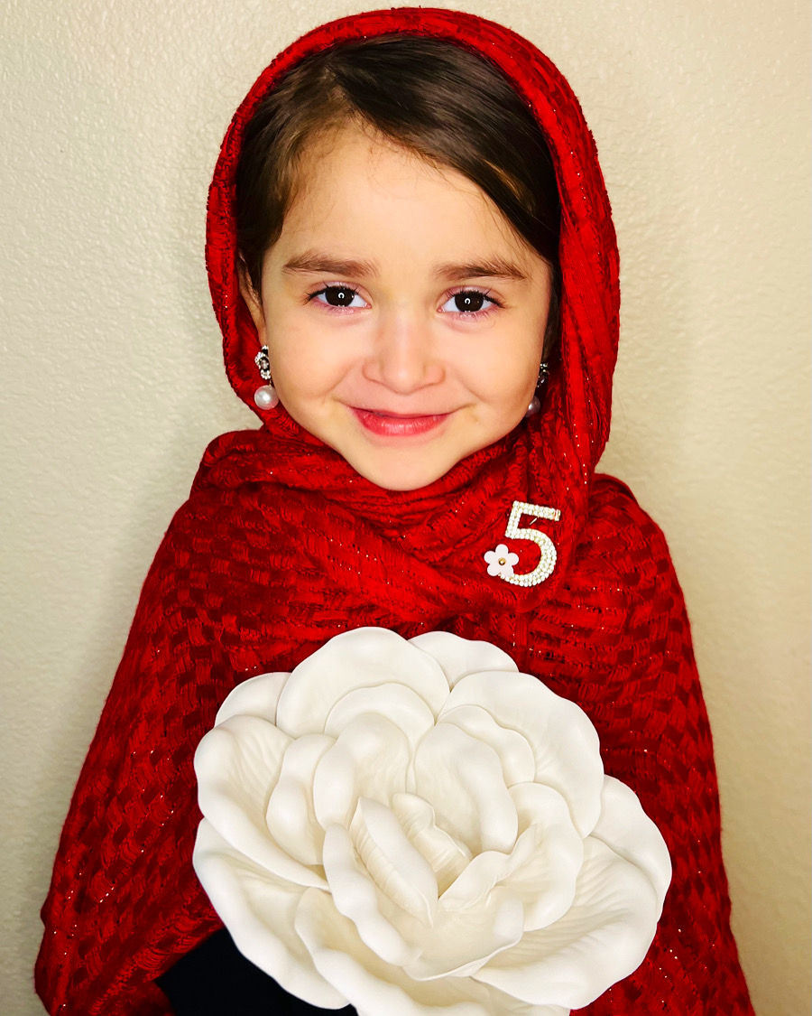 Thumbnail: Luxury #5 Pin