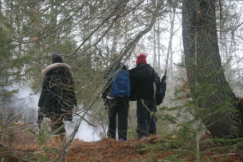 Thumbnail: 13-14 APRIL2024' Wilderness Bush Skills Weekend North of Hanmer (1 person)