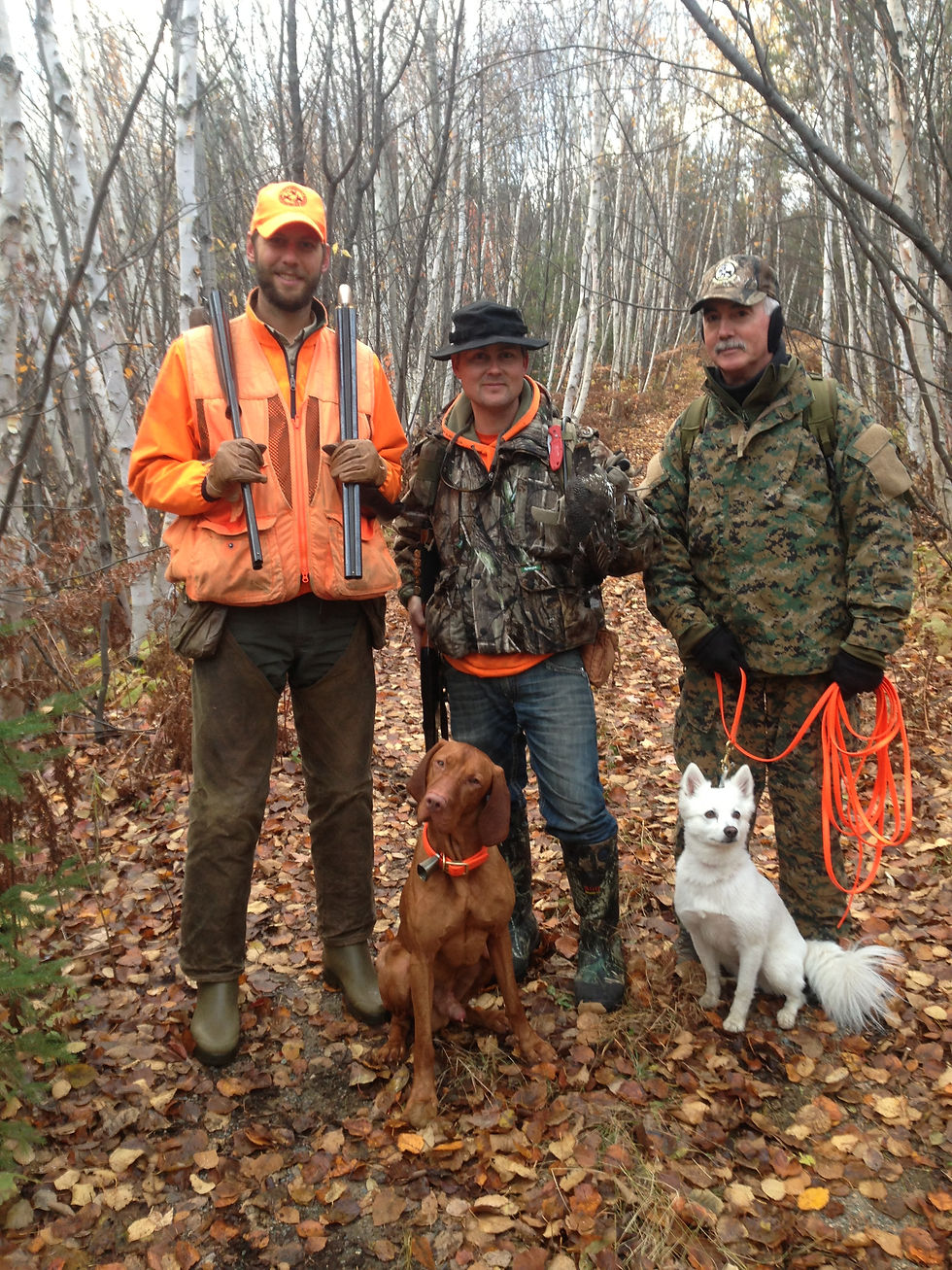 02 OCTOBER 2022' GUIDED SMALL GAME WALK WITH HUNTER EXPERIENCE (9am-5pm SUNDAY)