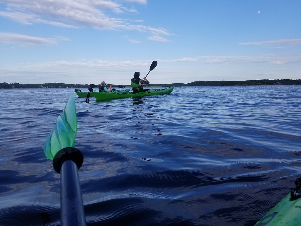 Thumbnail: 16 AUG 2024' Ramsay Lake Sunset Kayak Tour & Swim (5pm-7pm)FR