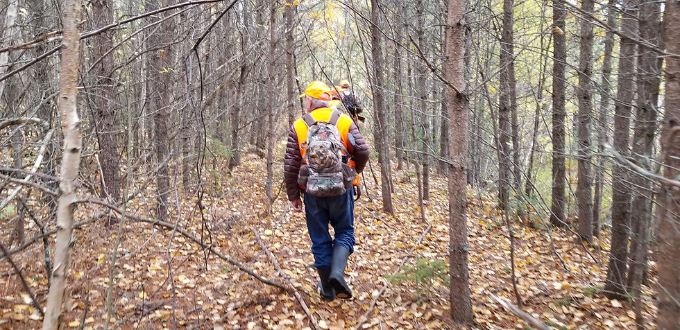 Thumbnail: 01 OCTOBER 2022' GUIDED SMALL GAME WALK WITH HUNTER EXPERIENCE (9am-5pm SAT)