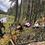 Thumbnail: 28-29 OCTOBER 2023 FALL BUSH CRAFT & SURVIVAL WEEKEND