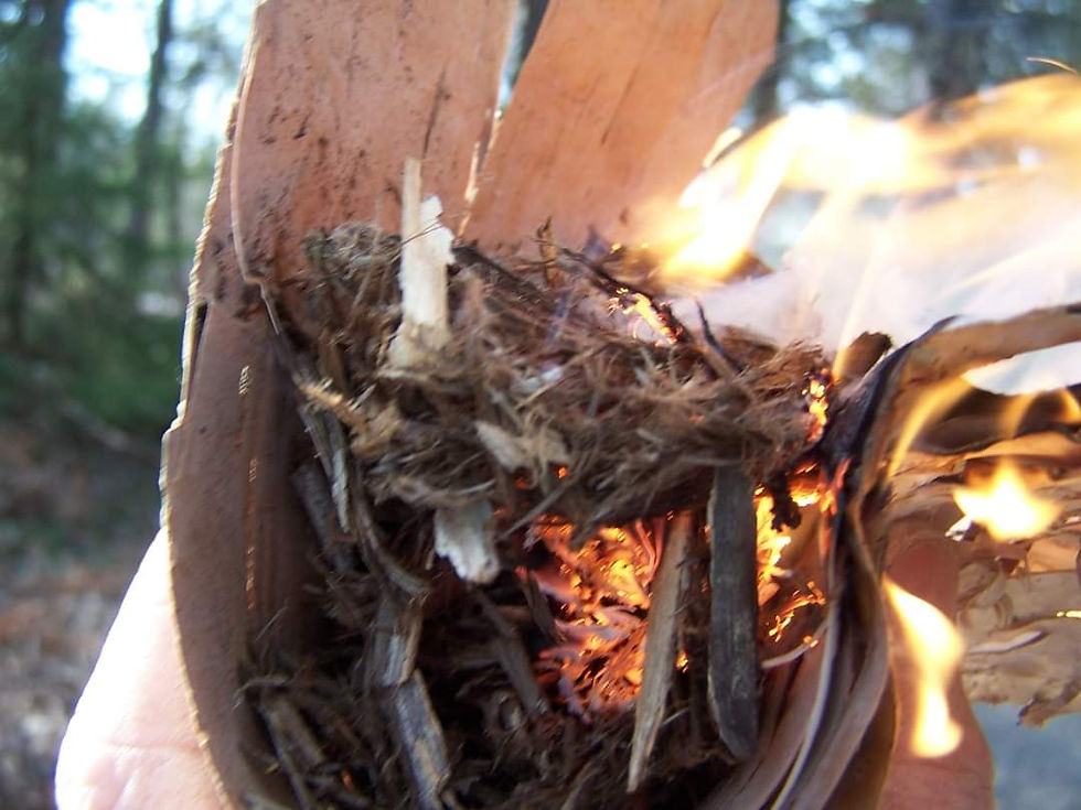 Thumbnail: 5 May 2024' Family Wild School &  Spring Teachings Afternoon Event (SUN 1pm-6pm)