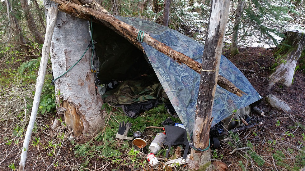Thumbnail: 28-29-30 October 2022' Bush Craft Skills Weekend