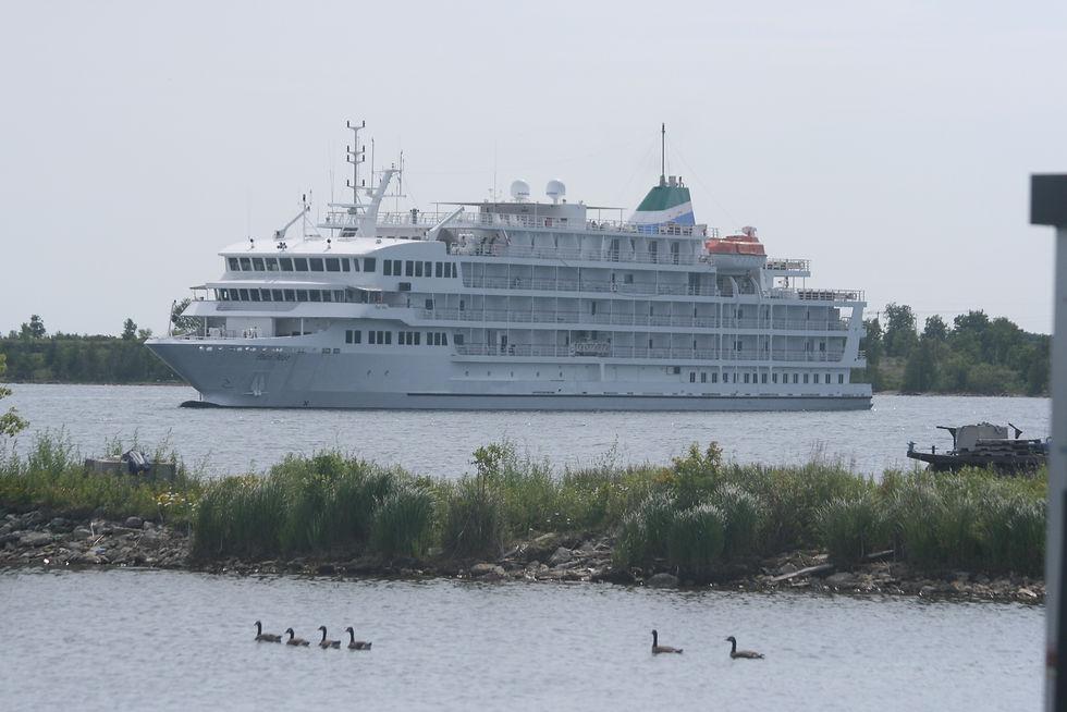 Thumbnail: 14 August 2022' Little Current Benjamin Island Speedboat tour & kayak 10am-4pm