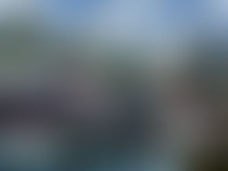 Minyak Hitam Paling Padu