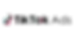 tiktok-ads-logo-300x157.webp