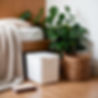 Leonardo_Phoenix_Capture_a_minimalist_photography_style_featur_0.jpg