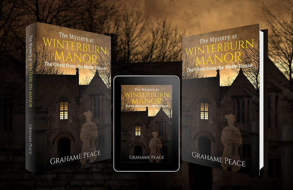 https://www.amazon.com/Mystery-Winterburn-Manor-Ghost-Molly-House-ebook/dp/B07TWH8VRQ?ref_=ast_author_dp_rw&th=1&psc=1&dib=eyJ2IjoiMSJ9.gxZsD4gxT_TVP31bX3i8GTuNccsd5VIsWrPUf21hgZQxb-rg661UGv7qga3B-0QepJ27B4aDPj7u06wlEQX-s2gODS8jH4n3NaisxPJhdXQVZfdZ6YKlvUeNKEKXcbKMHMs6C3DuknLaDmAa4G67lUL9Kh6-1YyB_zXI307aVsfQY7k81RIFeKILnlMqUEiiqWyqz4W9SWvaqz4xKMsg6Mc0XbK8wMRno4KE7bikWVI.hasVRsOvxTjVx4nlDqD_c7sRgABiseYbw8ZwMHI14QU&dib_tag=AUTHOR