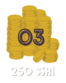 transparent 3.png