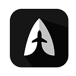 ATLAS-Aviation (1).png