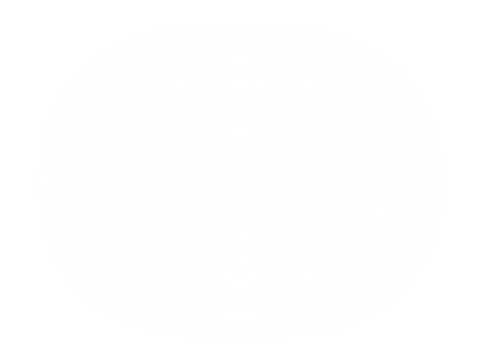 SOPHIE WEBSITE NEW GRAPHICS.png