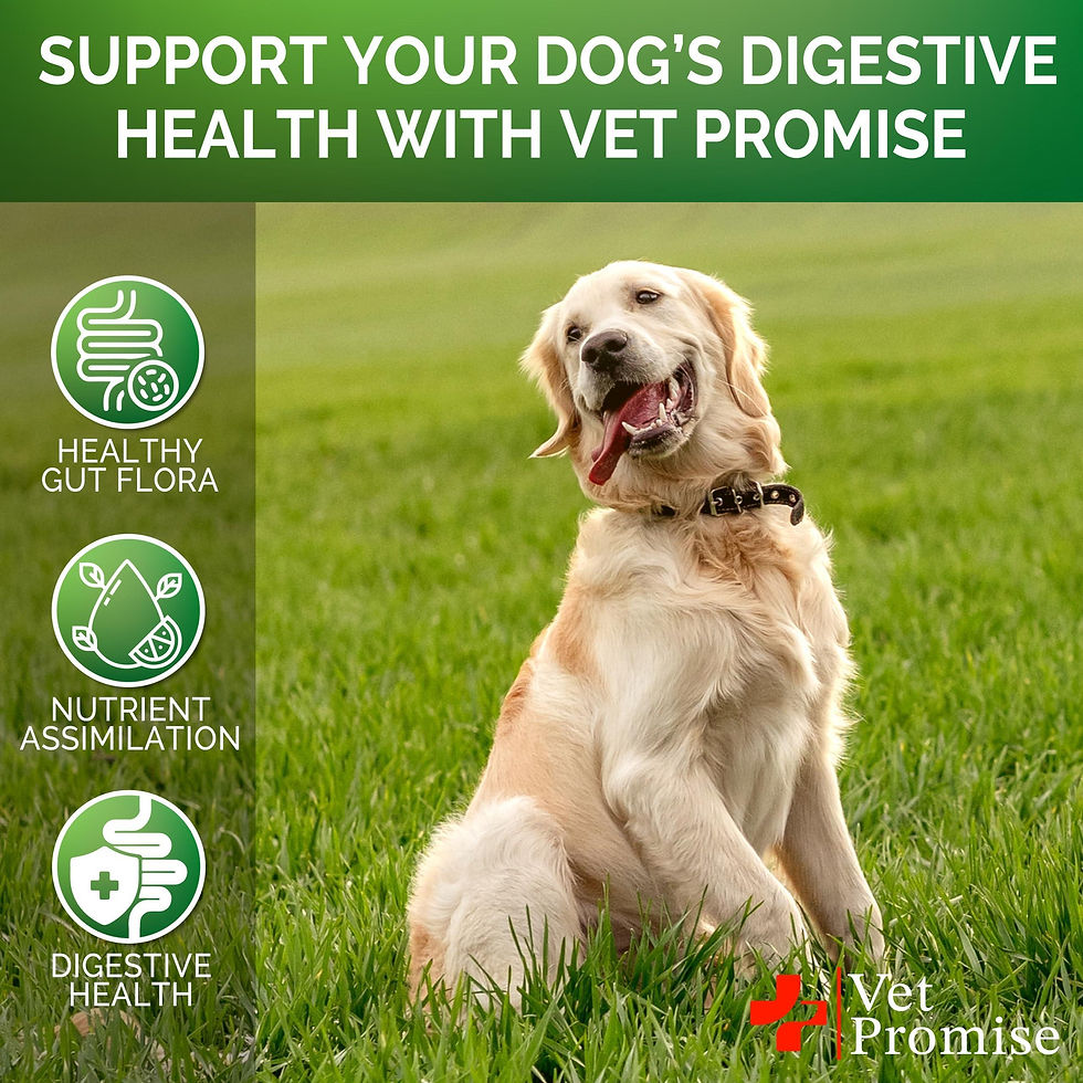Thumbnail: Probiotics for Dogs Digestive Enzymes for Good Health Itchy Skin 120 Chews