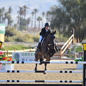 Desert international WK V