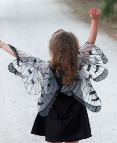 Thumbnail: Black Butterfly - R