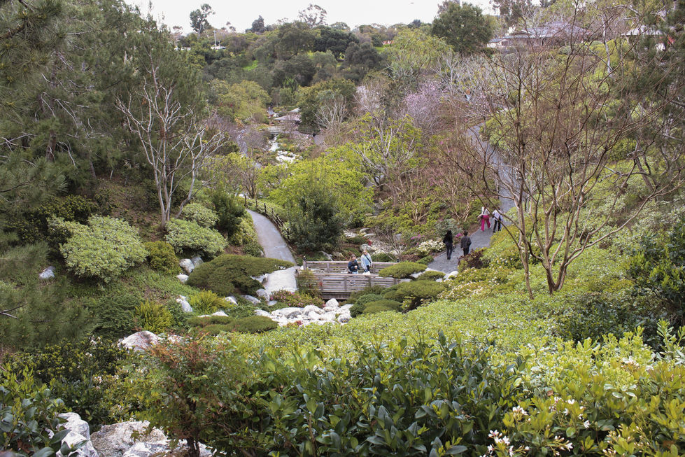 Outside view of Japanese Friendship Garden