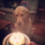 10981743_743127822455461_7910301519439361430_n