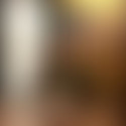 【訪談】台灣蓪草學會理事長 陳建華