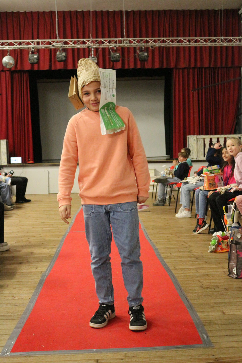 Perruque extraordinaire 6C 15.JPG