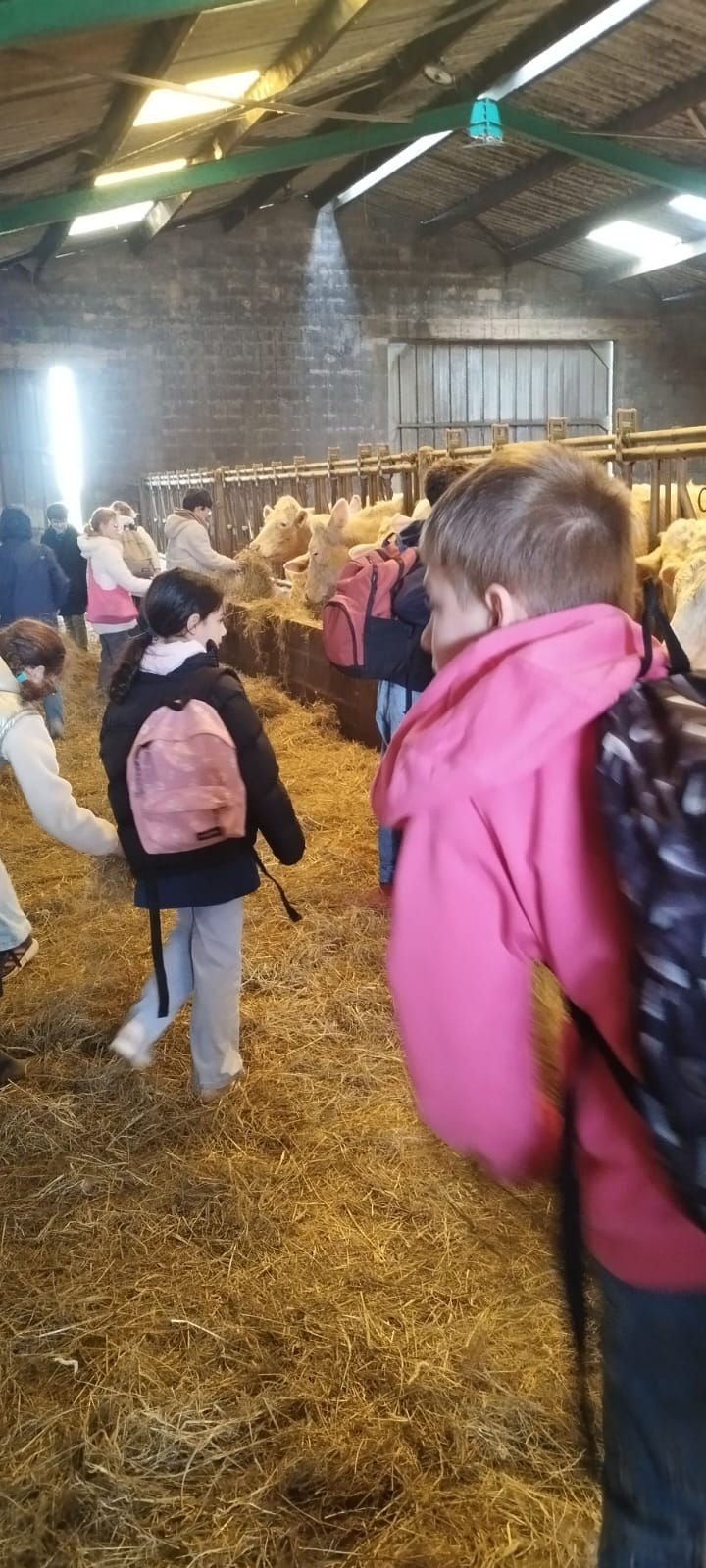 Ferme Duchateau 6èmeC 106.jpg