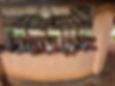 IMG_2055.jpeg