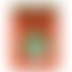 東邦大学の出題傾向(理学部)