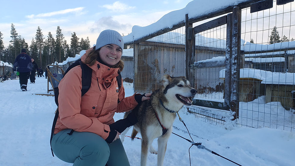 Op bezoek bij de husky's