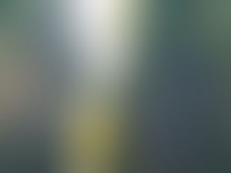 Het bamboebos van Arashiyama, Kyoto