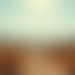 Exploring Embodied Leadership Training