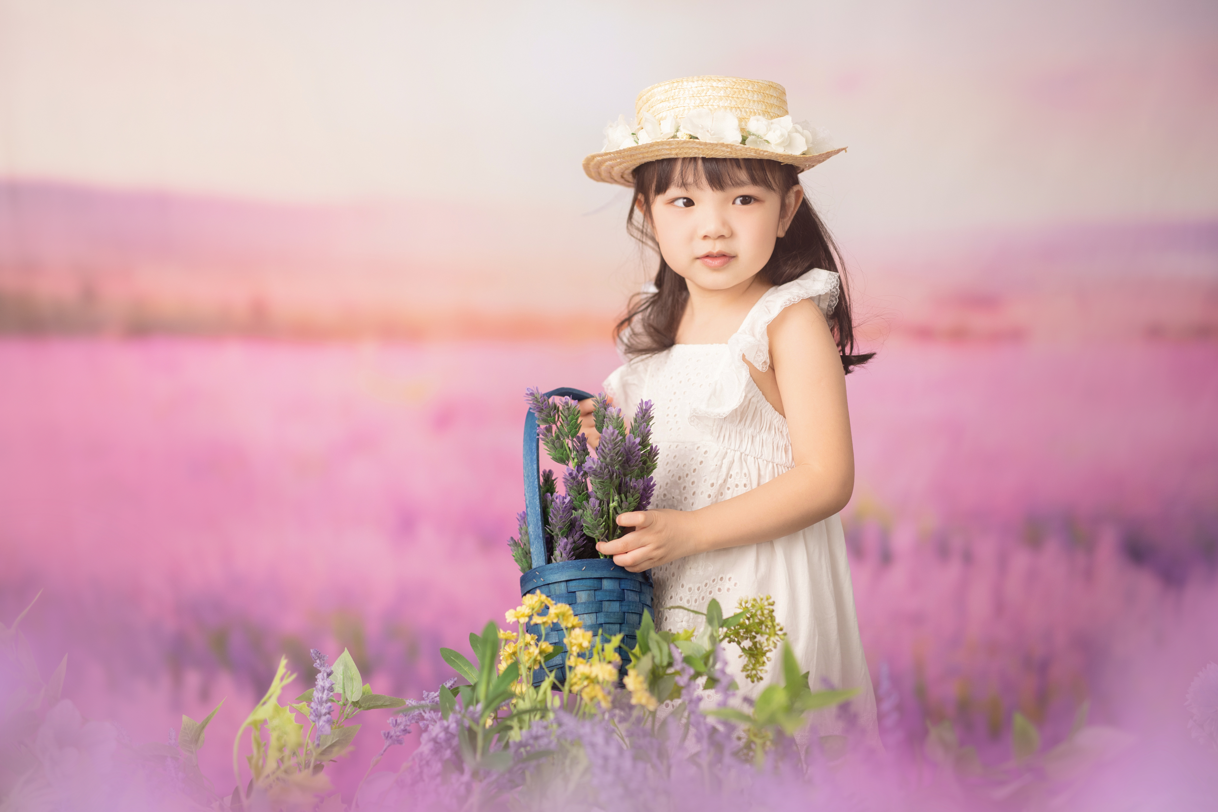 薰衣草海 (Lavandula)