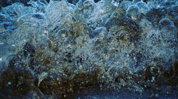 50422606_10215190929981630_8363328286352