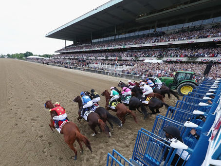 Belmont Stakes: 2021 Meet the Contenders