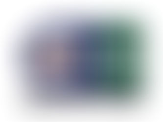 VCG-IEI Joint Venture (SDVOSB)