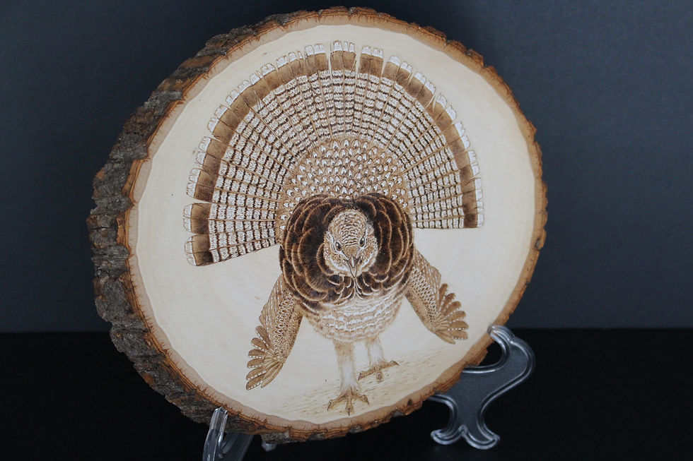 Thumbnail: Ruffed Grouse