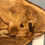 Thumbnail: Family of Foxes