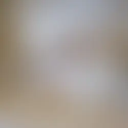 Adoption Doesn’t End at the Door